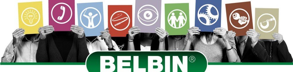 Un nuevo logro: Acreditación de Roles de Equipo de Belbin